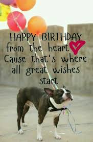 Birthday Quotes Happy Birthday Meme For Her Best Birthday Quotes Birthday Quotes Notitle Birthday Quotes Funny For Her Birthday Quotes Funny For Him Happy Birthday Quotes Funny