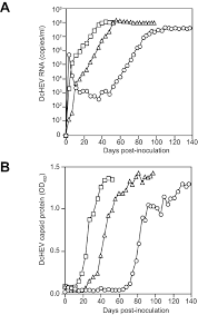 Alexa fluor 660 has a unique signature optimized for flow cytometers with spectral capabilities. Production Of Infectious Dromedary Camel Hepatitis E Virus By A Reverse Genetic System Potential For Zoonotic Infection Journal Of Hepatology