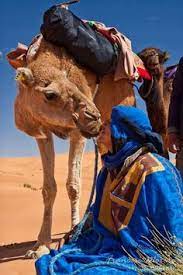 Over the ensuing centuries, stories have abounded of an ancient ship in the middle of the desert, buried and unburied by the shifting sands. 410 Art Camels Sand More Camels Ideas Camels Sand Desert Life