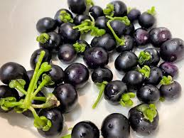 Image result for Solanum scabrum