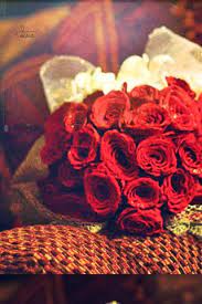 خلفية ايفون ورد باللون الاحمر الجميل دليل على الرومانسية flowers rose plants