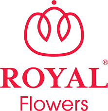 Check spelling or type a new query. Royal Flowers Group Royal Flowers