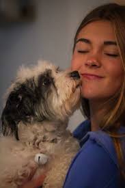 Home 2 Home Canine...