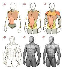 See more ideas about anatomy, anatomy reference, man anatomy. Solraka On Twitter Concept Art Drawing Human Anatomy Drawing Human Anatomy Art