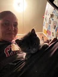 Lost Black Cat in Tullahoma near Brandywine Apartments