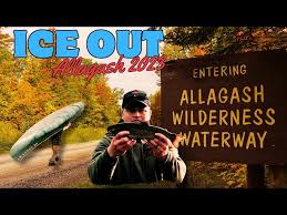 Native Trout Fishing in The North Maine Woods (Just After Ice Out // 2023) 