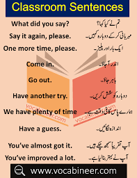 Daily Use Sentences In Classroom With Urdu Hindi Translation In 2020 English Phrases Sentences Learn English Words English Phrases Idioms
