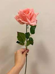 Wattles live life in the fast lane, growing rapidly from seed and producing. Real Touch Salmon Pink Large Rose Golden Touch Flowers