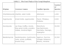 A Kingdom Separate From Plants