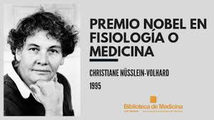 Wieschaus for their discoveries concerning the genetic control of early. Christiane Nusslein Volhard Premio Nobel En Fisiologia O Medicina 1995