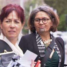 Tana says Green Party, co-leaders, did not abide by constitution