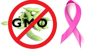 effects of gmo soy on t cancer