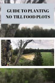 No Till Food Plots Food Plot Plants Plots