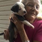 Aquino Family Obituaries