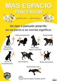 Sabes Que Significa Un Lazo Amarillo En Un Perro Ayudanos A Su Difusion Tu Perro Es Asustadizo Ha Sido Operado Y Necesita Tranquilidad Rehuye De Los Ninos O Tiene Problemas