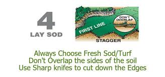 Steps to lay the new sod over existing lawn: How To Install Sod In Just 5 Easy To Follow Steps