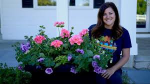 You should also consider the pros and cons of annuals vs. Planting Up Containers For Full Sun Garden Answer Youtube