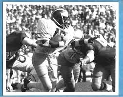 Michigan Wolverines Lawrence Ricks 46