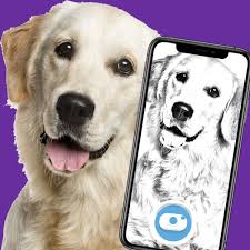 Go from photo to art in just one tap. Learn About Crayola Color Camera App Crayola Com