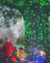 See The Winning Photographs From This Seasons Dominion Energy Gardenfest Of Lights At Lewis Ginter Bo Lewis Ginter Botanical Garden Cool Costumes Showy Flowers
