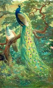 Peacock S Garden Peacock Art Bird Art Peacock