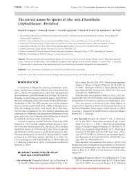 Image result for Aloe welwitschii