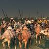 Camels traveling together under human control, usually in single file, form a caravan or train. Https Encrypted Tbn0 Gstatic Com Images Q Tbn And9gctgkq Pzu51ih78mhr5hl1lonrf2s2vpi8afakarpt5g1fb8slp Usqp Cau