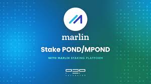10+ bitcoin pond app referral links and invite codes. Marlin Protocol Pond Mpond Staking Guide P2p Validator
