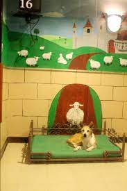 Overnight Lodging At Rover Oaks Pet Resort In Houston Katy Texas Pet Resort Dog Boarding Facility Luxury Pet