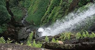 Agumbe Tourism The King Cobra Capital Places To Visit Tourist Places Cool Places To Visit