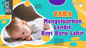 Dahak yang mengganggu saat batuk bisa anda keluarkan dengan cara alami berikut ini. Cara Mengeluarkan Dahak Dan Lendir Bayi Baru Lahir Saat Pilek Youtube