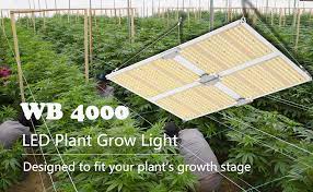 We did not find results for: Amazon Com Wingbo Wb 4000 Led Grow Light 4x4ft Coverage Dimmable Full Spectrum Plant Grow Lamp With 880 Leds High Power Commercial Grow Lights For Indoor Hydroponic Plants Seedling Greenhouse Veg Bloom 400w Patio