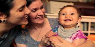 Key local players in the same-sex marriage cases