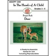 In The Hands Of A Child Lapbook And Notepack Curriculum