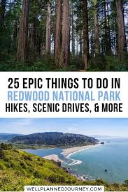 State park in redwood national & state parks. 25 Amazing Things To Do At Redwood National Park In 2021