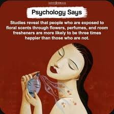 WHEN I BUY A BUNCH OF FLOWERS ALL I THINK ABOUT IS THE ARRANGEMENT AND THE  PERFUME. 👄 THIS REMINDS ME THAT IT'S ACTUALLY AN INDUSTRY. AS IN ALL CROPS  THERE ARE