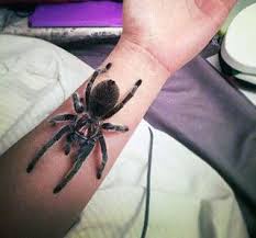 Best Spider Tattoos Ideas Spider Tattoo Tattoos Tattoo Designs Men