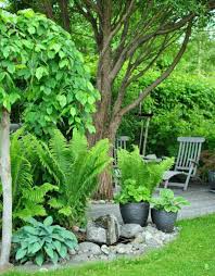 Pin By Marie Martin On Grunerdaumen Shade Garden Design Tropical Garden Design Backyard Garden Design