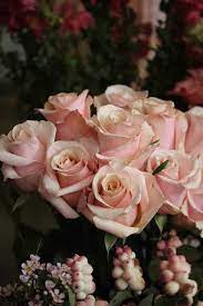 Inside Achillea Flower Shop Quirky Flower Adventure The Smell Of Roses The Smell Of Roses