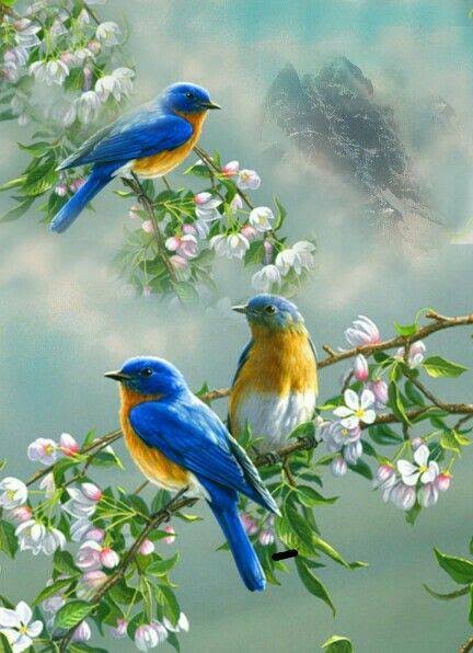 Գարուն Թող գարունն այսօր նոր... - Laura Hovhannisyan | Facebook