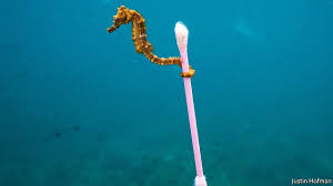 But economic historians have come up with. The Known Unknowns Of Plastic Pollution The Economist