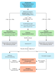 Image result for Hyperaldosteronism