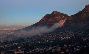 Animal world of «table mountain». Tep5e Y3zwzkqm