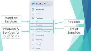 Introduction to Wave Accounting for YouTubers (2020)