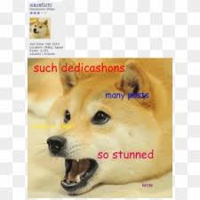 Santa doge t shirt transparent roblox. Doge Roblox Pixel T Shirt Clipart 2675309 Pikpng