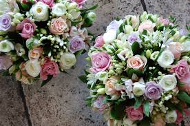 Check spelling or type a new query. Mystique Flowers