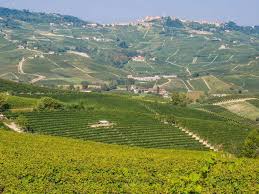 Piemonte is a region which has in recent years become a popular tourist destination for lovers of good cuisine. 10 Reasons To Visit The Langhe Wine Region In Piemonte Italy