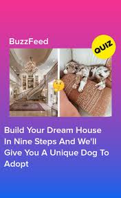 Build Your Dream House In Nine Steps And We Ll Give You A Unique Dog To Adopt Quizzes For Fun House Quiz Interesting Quizzes