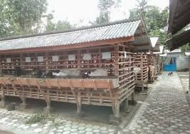 Kandang Kambing Model Kandang Kambing Yang Sehat Usaha Budidaya Kambing Kandang Beternak Kambing