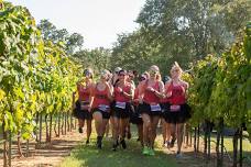 2026 SKECHERS Wicked Wine Run Finger Lakes, NY